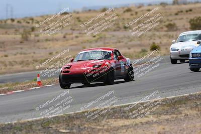 media/May-03-2025-Lucky Dog Racing (Sat) [[206de64b9d]]/Turn 6 (150pm-230pm)/